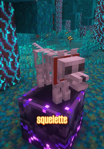 Réveillez vos LOUPS dans Minecraft grâce à ce mode