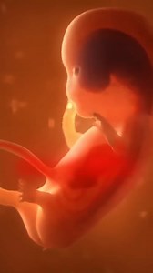 What if alien life isn’t carbon-based?