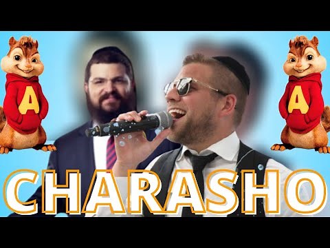 Mordechai Shapiro and Benny Friedman Charasho LIVE Official Chipmunk version