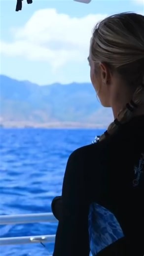 39K views · 1.1K reactions | INSTANTLY Fascinated By Sharks 麗 Book your next shark dive with us ... | Ocean Ramsey | Facebook