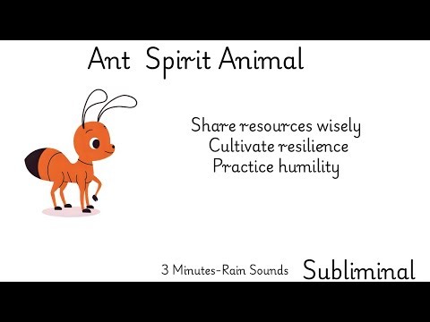 Ant Spirit Animal (Spirit Animal Series Rain Sounds)