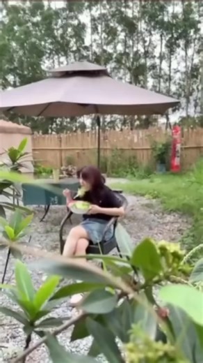 15K views · 28 reactions | ? #funny #funnyvideos | Thang Phan | Facebook