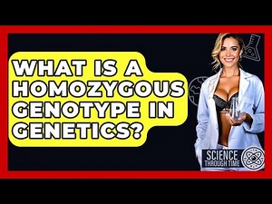 What Is A Homozygous Genotype In Genetics? - Science Through Time