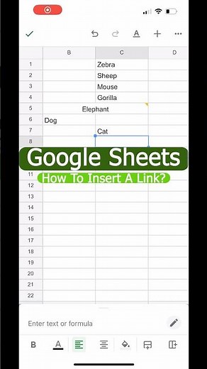 How to Insert a Link in Google Sheets Mobile?