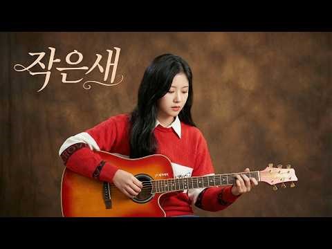 [10만뷰] 작은새🎧 "그리운 집을 찾아 날아만 간다.." 이햇사레의 몽환적인 목소리로 재해석한 포크 명곡.