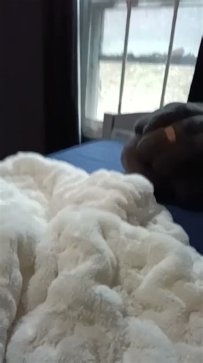 loop Pt2 *doing it again cuz last one got so many views*