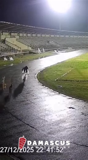 CCTV Menghiburkan: Reaksi Lucu di Pontianak