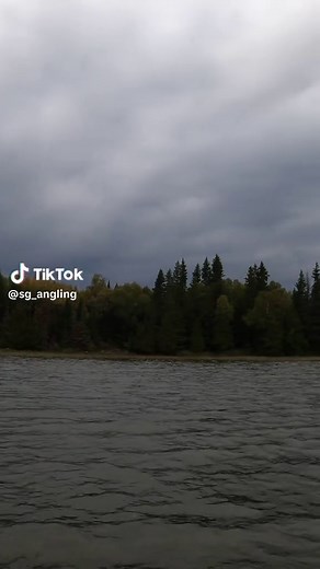 Musky vs Big Pike: Fishing Insights and Disagreements