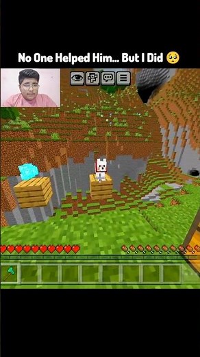 This Wolf Was About To Die… But I Saved Him 🥺 #minecraft #shortsfeed #gaming