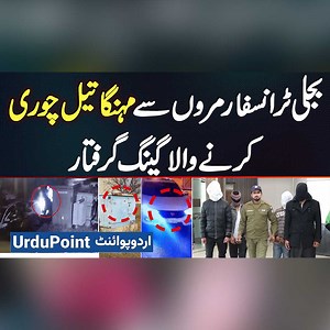 Electric Transformer Oil Theft Gang Arrested - They Stole Oil From Transformers And Sell In Market #Transformers #TransformerOil #ElectricTransformer #OilTheft #CrimeInvestigation #PublicSafety #GangArrest #CrimeReport #Lahore | UrduPoint Videos