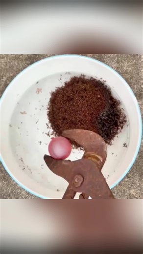 #usa #fyp #labgerm | Lab Grown Meat