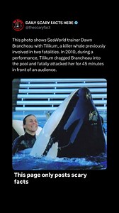 60K views · 147 reactions | This photo shows SeaWorld trainer Dawn...
