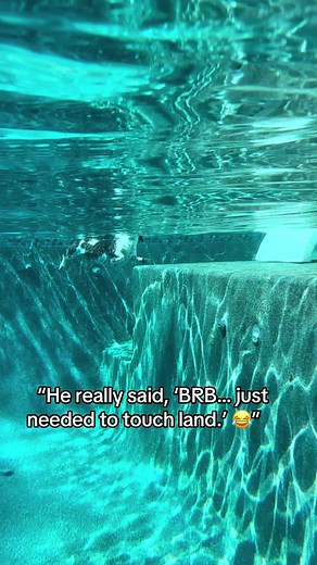 Dachshund Swimming Touches Land — Funny Dog Says “BRB”