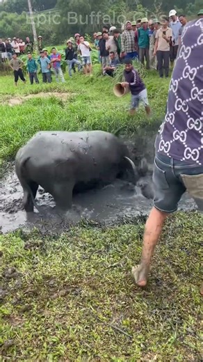 👉 “This Bull Fight Got Out of Control FAST… 😳” #usa #fyp #foryou #trending #shorts