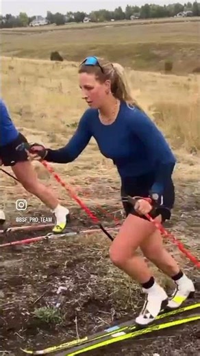 Horses wanted to bound