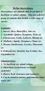 #invertebrates/Definition,Examples,Characteristics/#science