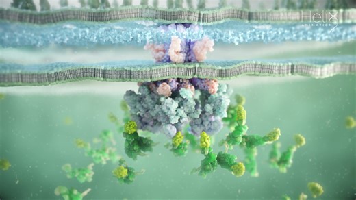 Partnering with the Prestigious #CNRS: Visualizing of the Type VI Secretion System MOA