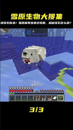 探索之旅2（96）：收集大量雪原生物，綠寶石非常匱乏 #我的世界 #MC #我的世界烧鸡 #Minecraft #MOD