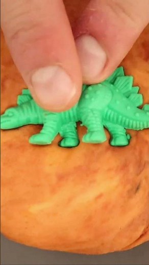 Fossils are time machines trapped in rock!