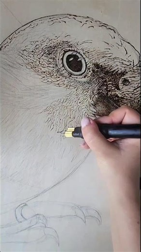 part 1: Pyrography portrait of my baby girl Pickle 🦜🔥