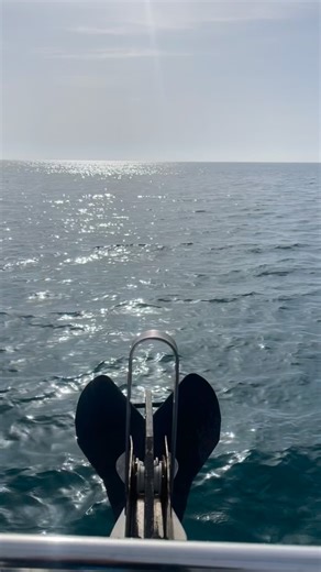 Pineapple Dive Club on Instagram: "Choose a dive. 🤿 Choose a tank. 🍾 Choose a wetsuit. 🩱 Choose a dive buddy. 🤝 Choose a fucking big compressor. 🚤 Choose regulators, BCDs, dive computers and underwater torches… 🔦 Choose deco stops and stop wondering who the fuck you are on a Sunday morning. 🌅 Choose sitting on that boat, watching waves, stuffing post-dive snacks into your mouth. 🍿 Choose cold beers at the end. 🍻 Chose Cyprus 🇨🇾 Choose Pineapple. 🍍 Choose your future. ⏭️ Choose scuba…