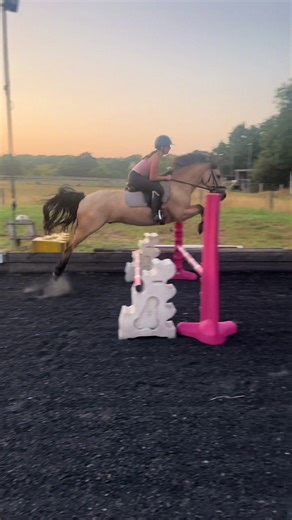 Boys Jumping and Bronco Riding Adventures