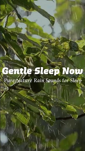 Gentle Sleep Now | Soft Rain on Green Leaves for Peaceful Sleep #rainoundforsleep #nature #rain