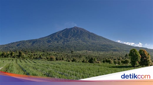 Hutan Sumatera Dicap 'Merah' UNESCO, Kerusakan Lingkungan Mencemaskan