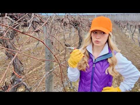 where’s Sis? | Can We Master a Skill That Keeps Growing?