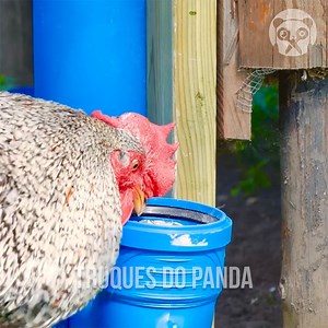 2.1M views · 6.8K reactions | Estas ideias vão turbinar a área externa da sua casa | Truques do Panda | Facebook