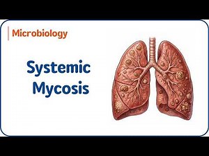 1. Systemic Mycoses | Dimorphic Fungi & Pathophysiology | Mycology | USMLE Step 1 ⚡🧬