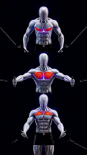 3 ways to target upper middle &lower chest.by chest cable fly#chestpress #dumbbellfly#carolinasquat