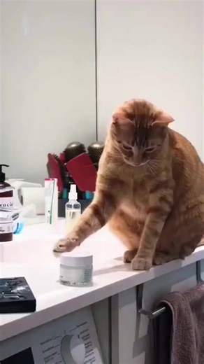 18K views · 441 reactions | John Steed on Reels | Facebook