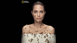 Angelina Jolie poses with swarm of bees