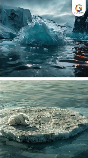 Human Impact on Ecosystems: Our Role in Shaping the Environment #glecta #gcse #ecosystem