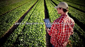 KYOCERA Document Solutions comprende que en los negocios, cada documento es el documento más importante. Esta campaña publicitaria materializa el enfoque integral de Total Document Solutions de Kyoceraque se concentra en el flujo de trabajo de su empresa. Haga clic aquí para encontrar un distribuidor cerca de usted y programar su evaluación: https://goo.gl/nvnsAb Más información sobre KYOCERA Document Solutions America: https://goo.gl/VzzQ8L | KYOCERA Document Solutions America | Facebook