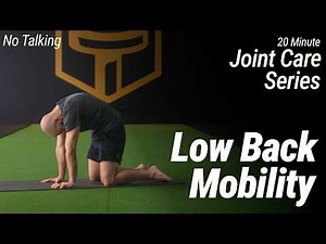 20 Minute Lower Back Strength & Mobility Workout | Joint Care Series | No Talking