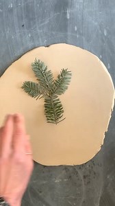 812K views · 10K reactions | Why do foxes seem like they walked out...