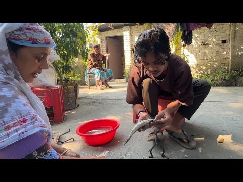 মাছ কাটার ট্রেনিং চলছে | বাজার থেকে আনা টাটকা মাছ