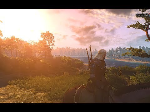 The Witcher 3 :Wild Hunt in 4k 60FPS Ultra Settings * GTX 1080 Ti *
