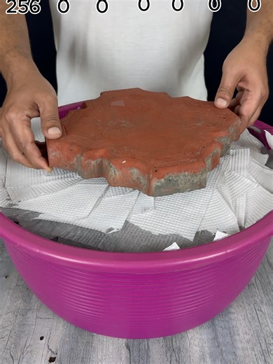 Water Experiment: How Many Tissues Will It Take?