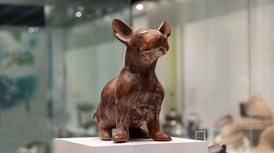 El Techichi, ancestro del Chihuahua que acompañó a los toltecas en el México prehispánico (nota de Fernanda Avila en OEM-Informex)