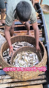 11K views · 185 reactions | Village Tour on Reels | Facebook