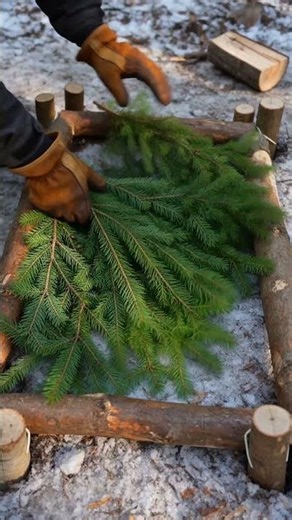 How to Build a Raised Fir Bough Bed for Winter Survival