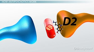 How Antipsychotic Drugs Work in the Brain - Video | Study.com
