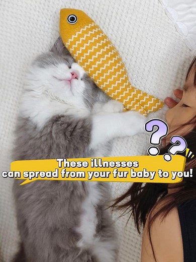 Warning! These 3 Pet Diseases Can Spread to Humans – Essential Home Protection Tips for Pet Parents ⚠️ Pet parents, read this fast! These 3 germs from pets can get to you! √ Toxoplasmosis: Tiny cysts in cat poop are super hidden – accidentally ingesting them can harm fetuses and people with weak immune systems √ Cryptosporidium: Spreads through pet poop that contaminates your space – if you get infected, you’ll likely have nonstop diarrhea √ Staphylococcus aureus: Hides on your pet’s skin and fu