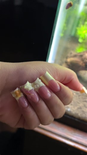 Spring Nail Inspiration: DIY Ideas You'll Love