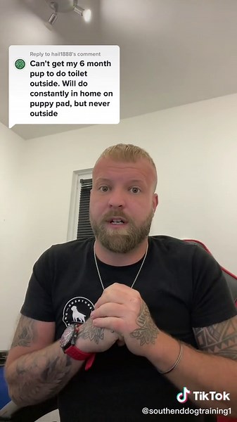 Effective Dog Potty Training Tips for New Pet Owners