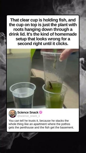 CUP OVER CUP AQUAPONICS