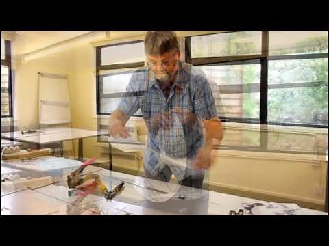 Build your own moth trap: 1. Making the cone